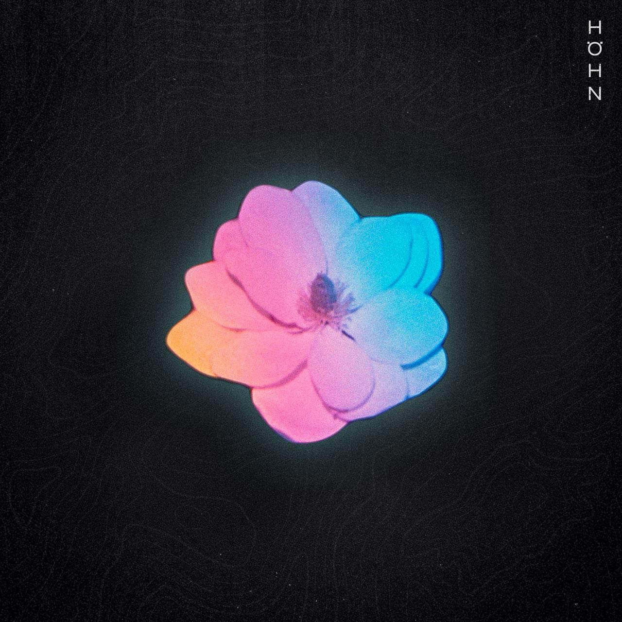 hohn album cover